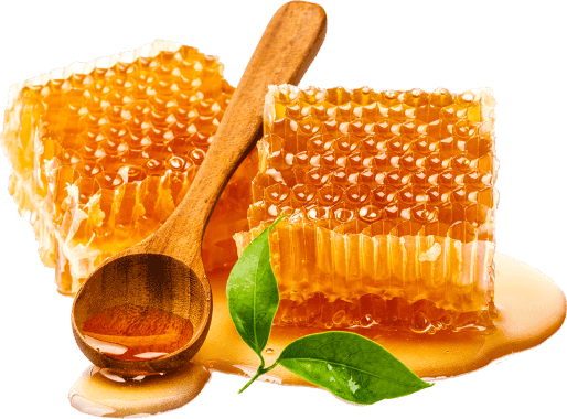 Natural Honey By Ellahi Products