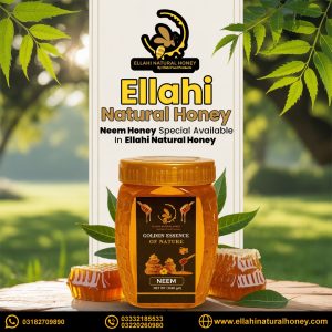 small bees honey in Karachi