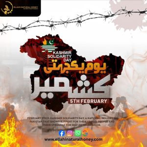 Kashmir Day 5 February