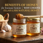 Benefits of honey for immune system