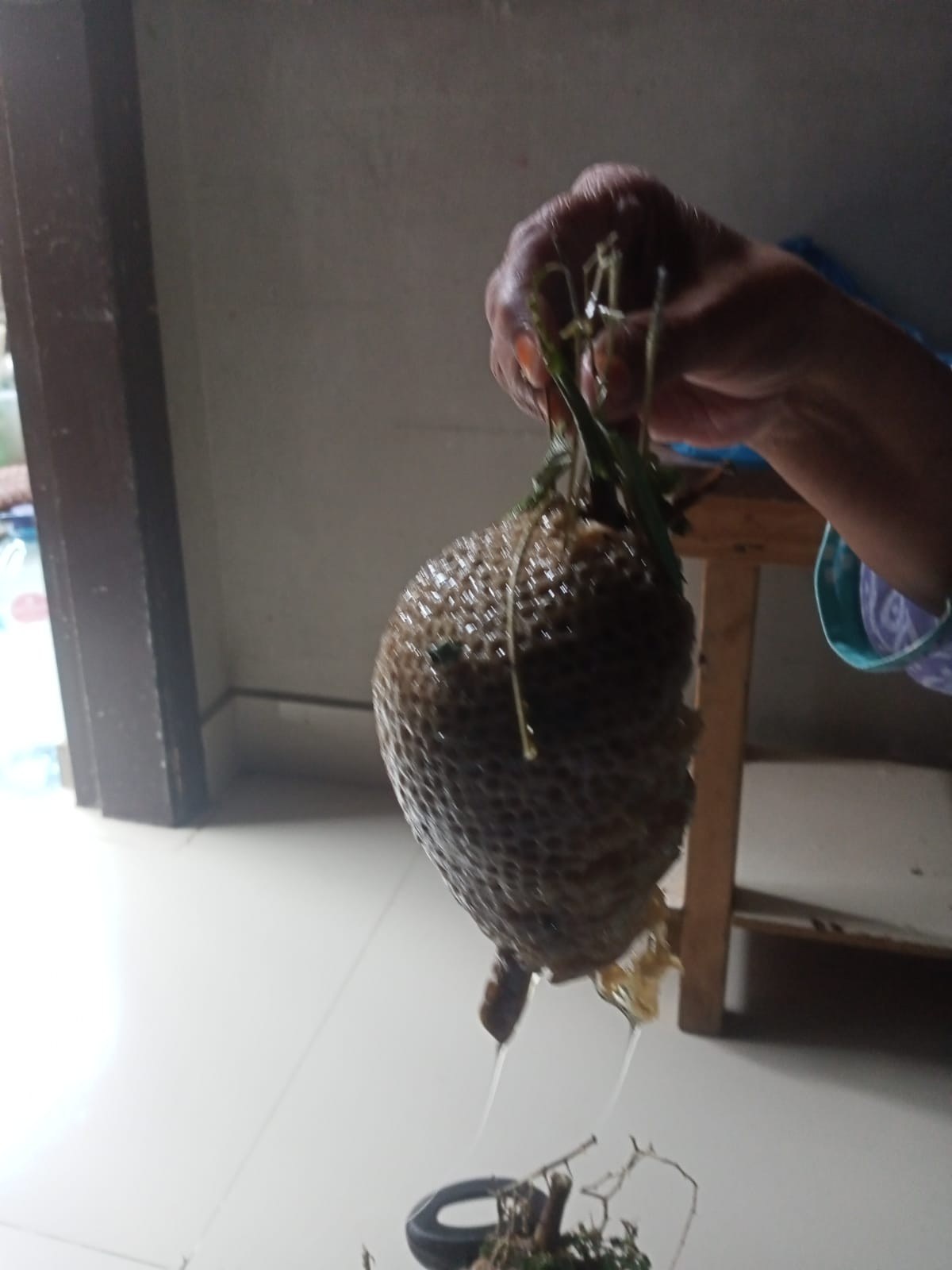 Pure Keekar Chatta Honey | Natural Honeycomb